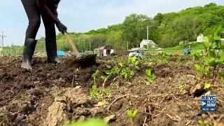 Living Earth Center open house this weekend