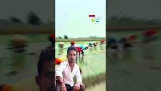 Jitendra yadav