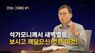 [김쌤의 정견특강]  #128. 있는그대로(1) 석가모니께서 새벽별을 보시고 깨달으신 것은 이것!