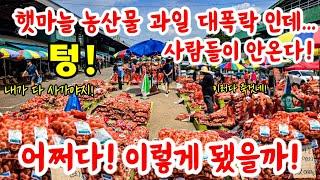 햇마늘 농산물 과일 대폭락인데..사람들이 안온다! 어쩌다 이렇게 됐을까? 죽을맛이네! #시장 #먹거리 #먹방 #food #맛집 #음식 #레시피 #쇼핑 #할인 #세일
