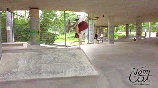 Street Plant Skate Line by Tom Cat