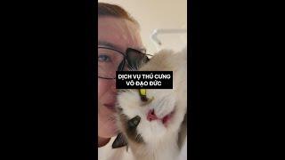 DỊCH VỤ THÚ CƯNG VÔ ĐẠO ĐỨC ĐÃ KHIẾN MÈO MÌNH QUA ĐỜI NHƯ THẾ NÀO ️