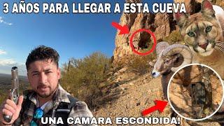 Cueva De Pumas Alto En Las Montañas