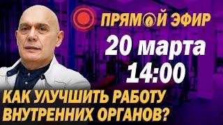 Как мышцы влияют на внутренние органы? Упражнения для улучшения работы органов