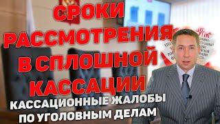 Срок рассмотрения кассационной жалобы в порядке сплошной кассации по уголовному делу