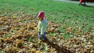 Studio Cilski - Jesienny Spacer