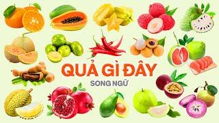 Quả Gì Đây 2, Dạy Bé Đọc Tên Trái Cây, Hình Thực Tế | Song Ngữ Anh Việt | Fruit farm, Agricultural