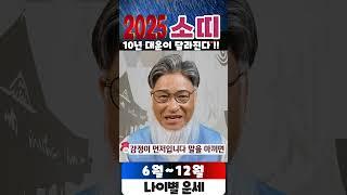 2025년 소띠  운세:(6월~12월) 지금 움직이면 10년 대운 달라진다, 버티면 돈복 터진다 #하반기소띠  #2025소띠