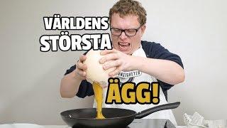 VÄRLDENS STÖRSTA ÄGG