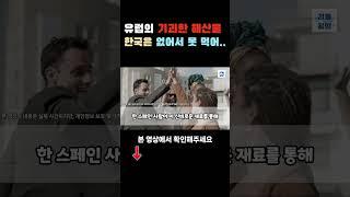[해외감동사연] 진짜 이게 몸에 좋다고? 유럽 국가들 골치아픈 해산물이 몸에 좋다는 소식에 난리