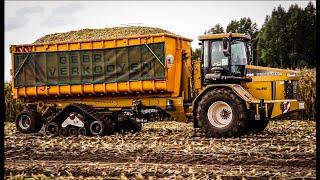 Mais hakselen / Chopping Corn / Mais Häckseln / 4 x CLAAS / GINAF / Terra-Gator / Challenger