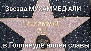 Hollywood "аллея славы". звезда МУХАММЕДА АЛИ