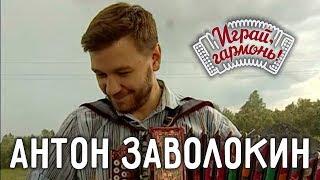 Играй, гармонь! | Антон Заволокин