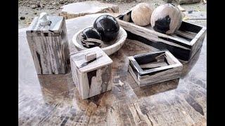 Petrified Wood Decorative Accessories