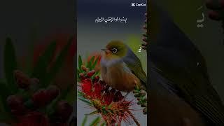 Ayatul Kursi
