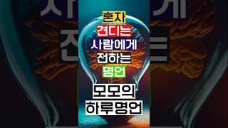 [모모의하루명언] 혼자 견디는 사람에게 전하는 명언