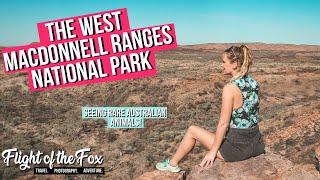 West MacDonnell Ranges | Best NATIONAL PARK in CENTRAL AUSTRALIA - Central Australia Roadtrip