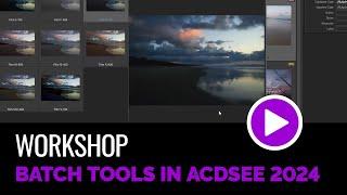 Perform Multiple Photo Editing Tasks using the Batch Tools in ACDSee