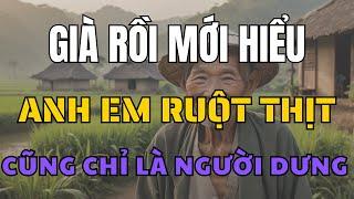 Tỉnh Ngộ Tuổi Xế Chiều: Khi Anh Em Ruột Cũng Trở Thành Người Dưng