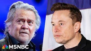 MAGA Civil War: Steve Bannon pledges to have Elon Musk run out of Trump orbit by Inauguration Day