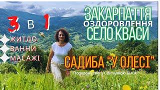 Мишʼяковисті води у селі Кваси на Закарпатті. Садиба "У Олесі". Ціни та умови #садибауолесі #кваси
