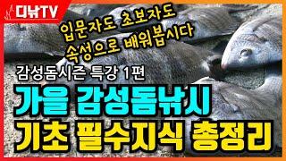 속성! 가을 감성돔낚시 기초 필수지식 총정리! 감성돔시즌 특강 1편 [디낚TV 낚시공부방]