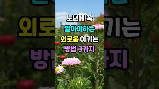 노년에 꼭 알아야하는 외로움 이기는 방법 3가지 #노후지혜 #삶의지혜 #인생조언 #명언 #좋은글