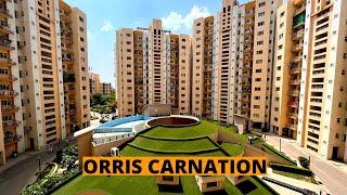 Orris Carnation sector 85 Gurgaon | Orris aster court premier  | orris carnation review