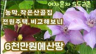 50대1인가구브이로그/계곡딸린땅6천만원/농막.작은산골집.전원주택/5도2촌