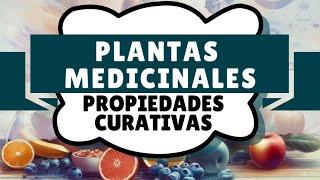 Plantas Medicinales, Propiedades Curativas - Audiolibro