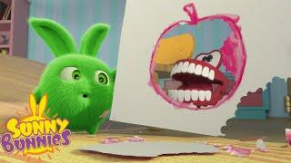 The Hungry Toy - Sunny Bunnies | Cartoons For Kids