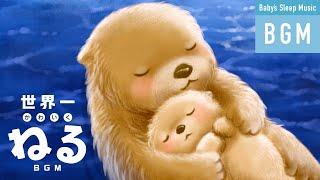 [The world's cutest sleep] Baby's sleep music "Pukapuka"  (No video ads in the middle)