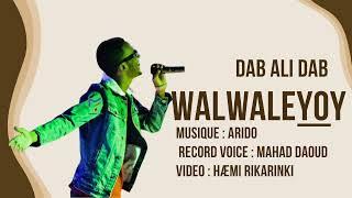 Dab Ali Dab - New Remix song 2024 - Walwaleyooy