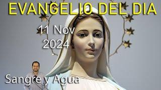 Evangelio Del Dia Hoy - Lunes 11 Noviembre 2024- Sangre y Agua