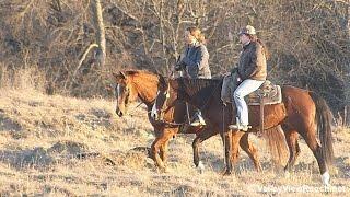 Mosa and Island - trail riding - Valley View Ranch