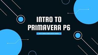 PRIMAVERA P6 MADE EASY! Intro to Primavera P6 - ACE Consulting