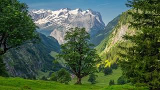 Most beautiful mountain hikes in Switzerland - Planplatten Tannalp Engstlensee