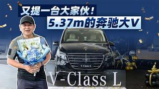 韩路聊车：又提一台大家伙！5.37m的奔驰大V