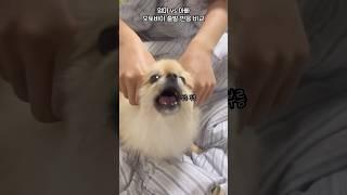 오토바이 출발 엄마 vs 아빠 반응 비교