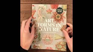 Art forms in Nature by Ernst Haeckel