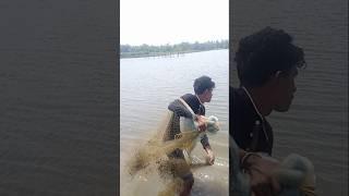 Net fishing video #handfish #videoshort