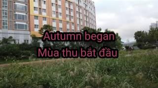 Autumn began