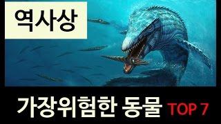 (랭킹박스) 역사상 가장 위험한동물 TOP 7