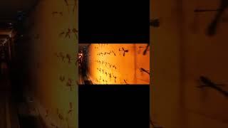 СТРАННЫЕ СИМВОЛЫ АЭРОПОРТА! МИСТИКА! СКРЫТЫЙ СМЫСЛ #мистика #масоны