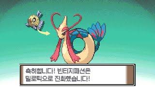 진화 전엔 무시 당했지만 이제는 모두가 부러워하는 밀로틱입니다만