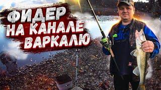Приехали ловить ЛЕЩА а попался СУДАК, ЛИНЬ, ПЛОТВА, ЛЕЩИ тоже | Brekšu cope, Varkaļu kanāls