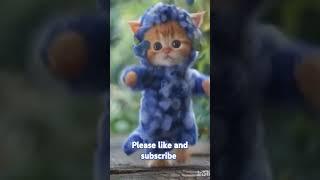 #funny #catlover️ #cute #dancingcat