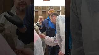 Zinpro Corporation - хромота ведет к снижению продуктивности КРС #ферма #хозяйство #молоко #животное