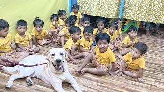 Introduction of Domestic Animals | Exttenderz Preschool