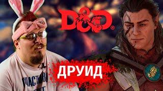 Гайд на Друида в D&D, разбор правил Dungeon & Dragons